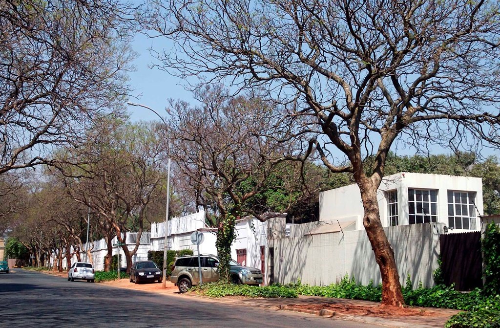 About Saxonwold, Johannesburg South Africa Mr. Pocu Blog