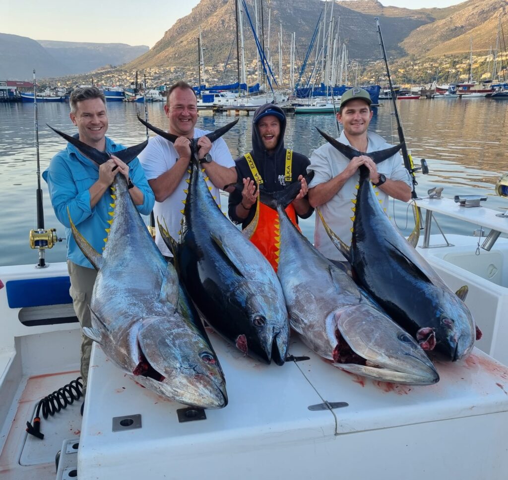 11 Things To Do In Western Cape Mr. Pocu Blog